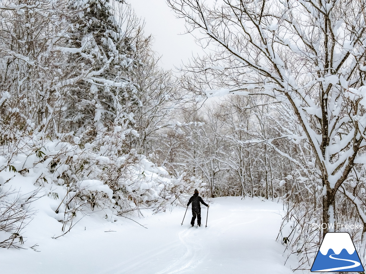 音威富士スキー場｜気が付けばナイター照明が灯り、夕暮れ滑走。プライベート感覚で滑れる道北のローカルゲレンデ！